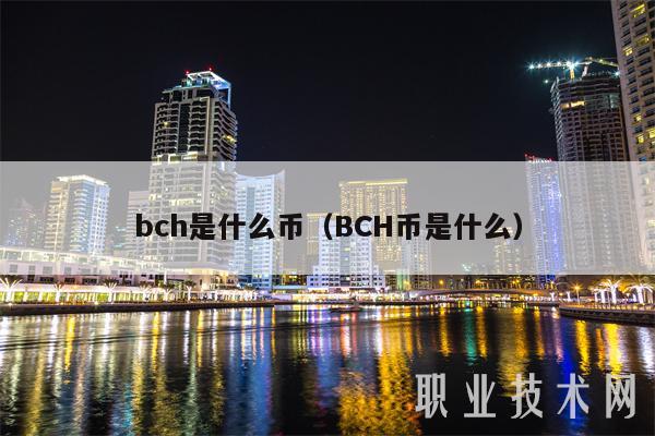 bch是什么币(BCH币是什么)