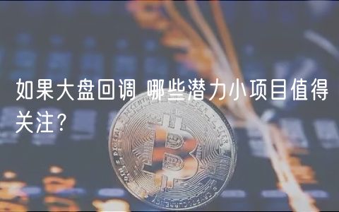 如果大盘回调 哪些潜力小项目值得关注?-第1张图片-芝麻交易所下载 如果大盘回调 哪些潜力小项目值得关注?-第1张图片-芝麻交易所下载