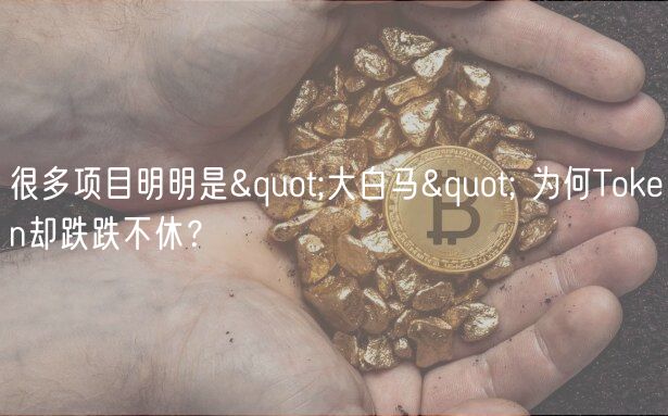 很多项目明明是"大白马" 为何Token却跌跌不休？-第1张图片-芝麻交易所下载