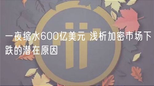 一夜缩水600亿美元 浅析加密市场下跌的潜在原因-第1张图片-芝麻交易所下载 一夜缩水600亿美元 浅析加密市场下跌的潜在原因-第1张图片-芝麻交易所下载