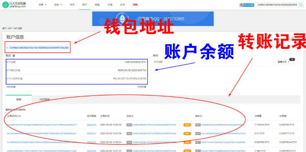 trc20区块链浏览器查询（区块链地址查询交易）-第2张图片-芝麻交易所下载