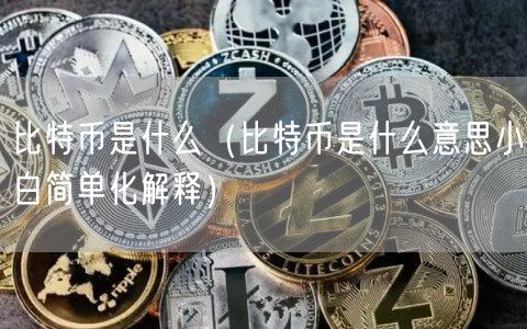 比特币是什么（比特币是什么意思小白简单化解释）-第1张图片-芝麻交易所下载