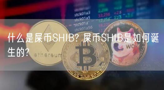 什么是屎币SHIB? 屎币SHIB是如何诞生的?-第1张图片-芝麻交易所下载