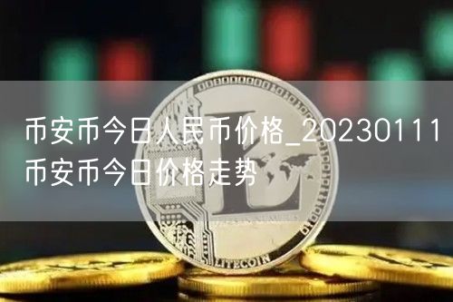 binance币今日人民币价格_20230111binance币今日价格走势-第1张图片-芝麻交易所下载