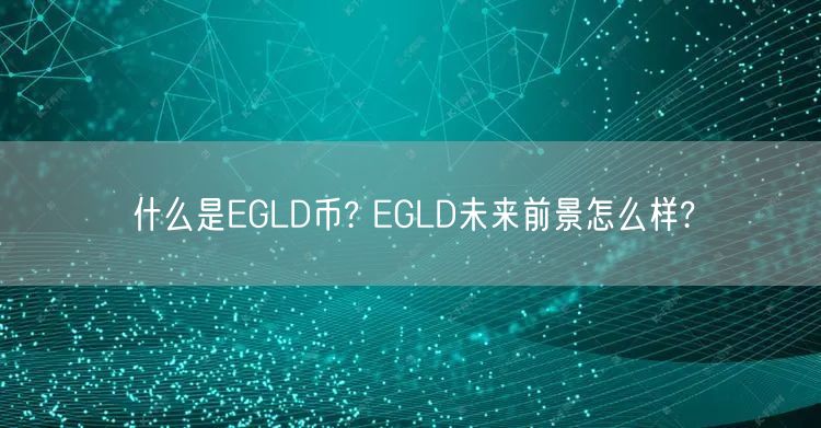 什么是EGLD币? EGLD未来前景怎么样?-第1张图片-芝麻交易所下载