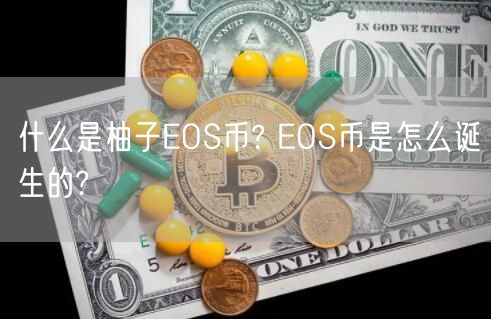 什么是柚子EOS币? EOS币是怎么诞生的?-第1张图片-芝麻交易所下载