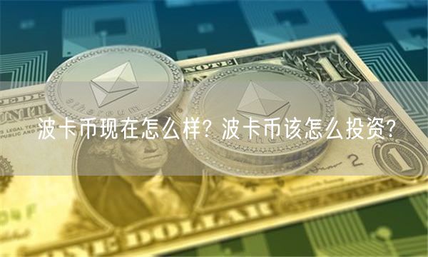 波卡币现在怎么样? 波卡币该怎么投资?-第1张图片-芝麻交易所下载