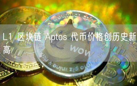 L1 区块链 Aptos 代币价格创历史新高-第1张图片-芝麻交易所下载 L1 区块链 Aptos 代币价格创历史新高-第1张图片-芝麻交易所下载