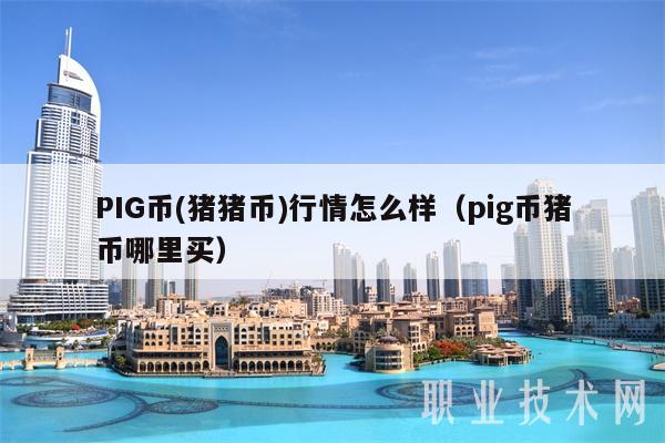 PIG币(猪猪币)行情怎么样(pig币猪币哪里买)
