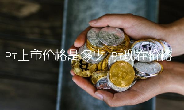 pi上市价格是多少 pi现在价格