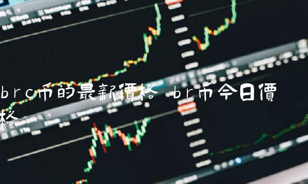 brc币的最新价格 br币今日价格