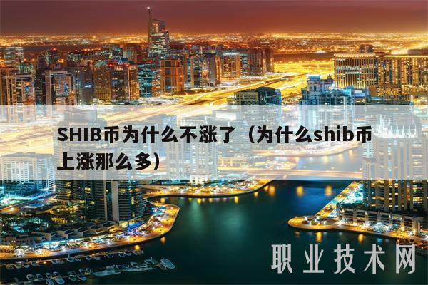 SHIB币为什么不涨了(为什么shib币上涨那么多)