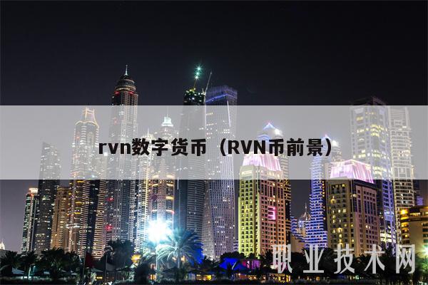 rvn数字货币(RVN币前景)