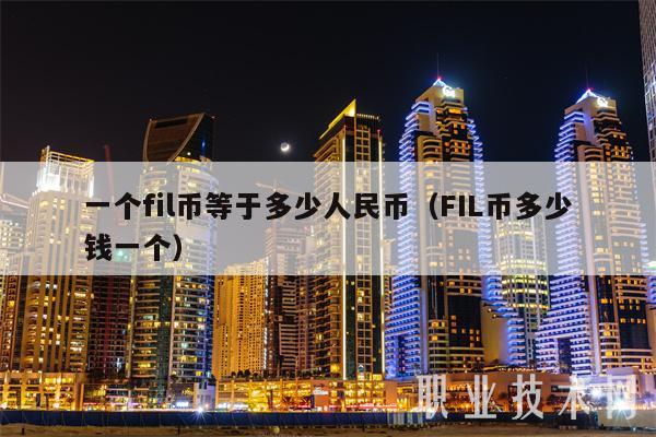 一个fil币等于多少人民币(FIL币多少钱一个)