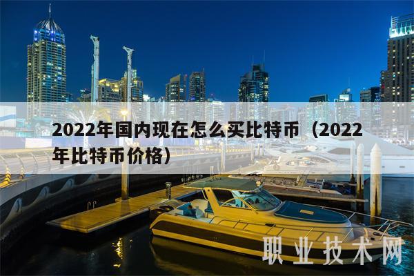 2022年国内现在怎么买比特币(2022年比特币价格)