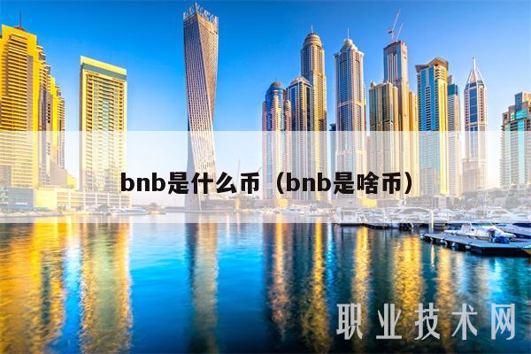 bnb是什么币(bnb是啥币)