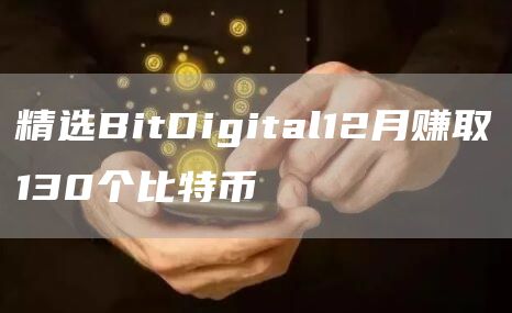 精选BitDigital12月赚取130个比特币-第1张图片-芝麻交易所下载 精选BitDigital12月赚取130个比特币-第1张图片-芝麻交易所下载