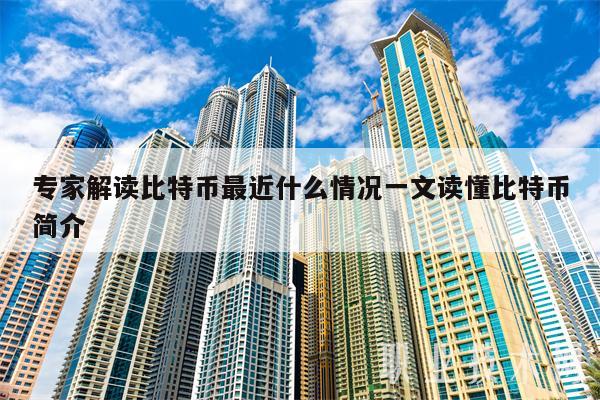 专家解读比特币最近什么情况一文读懂比特币简介-第1张图片-芝麻交易所下载