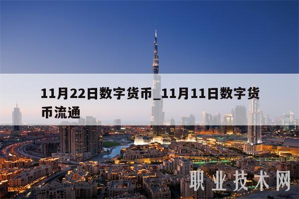 11月22日数字货币_11月11日数字货币流通