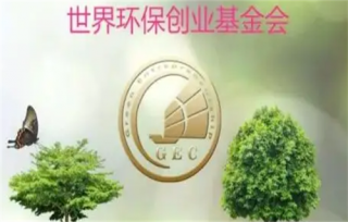 2023年GEC环保币即将暴涨(gec环保币2020最新真实消息)