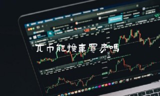 兀币能换车买房吗