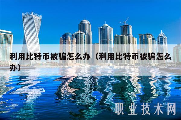 利用比特币被骗怎么办(利用比特币被骗怎么办)