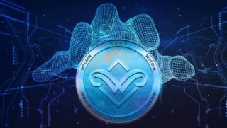 柚子币app下载 柚子币数字货币交易平台下载