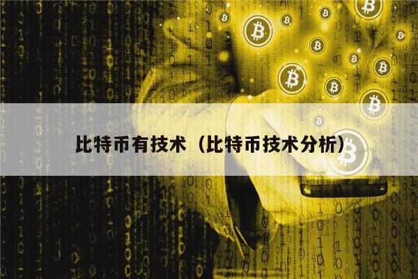 比特币有技术（比特币技术分析）-第1张图片-芝麻交易所下载