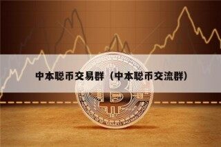 中本聪币交易群（中本聪币交流群）