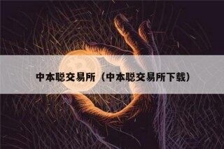 中本聪交易所（中本聪交易所下载）