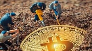 中币网网页(中币网交易)