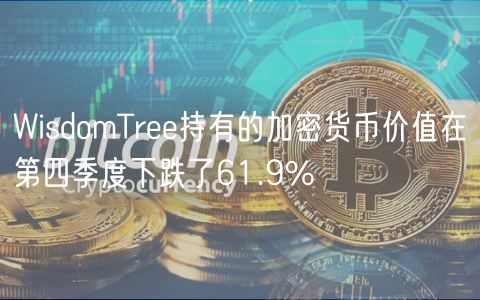 WisdomTrbb持有的加密货币价值在第四季度下跌了61.9%-第1张图片-芝麻交易所下载