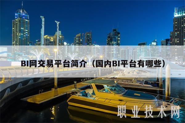 BI网交易平台简介(国内BI平台有哪些-第1张图片-芝麻交易所下载 BI网交易平台简介(国内BI平台有哪些-第1张图片-芝麻交易所下载