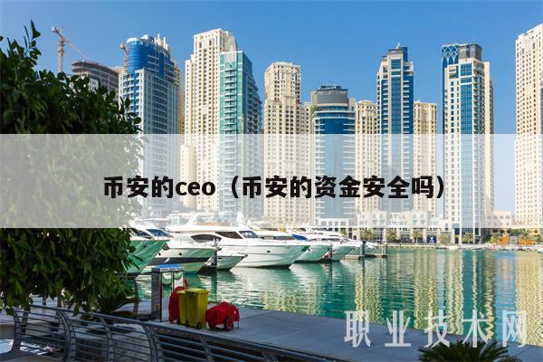 币安的ceo(币安的资金安全吗)