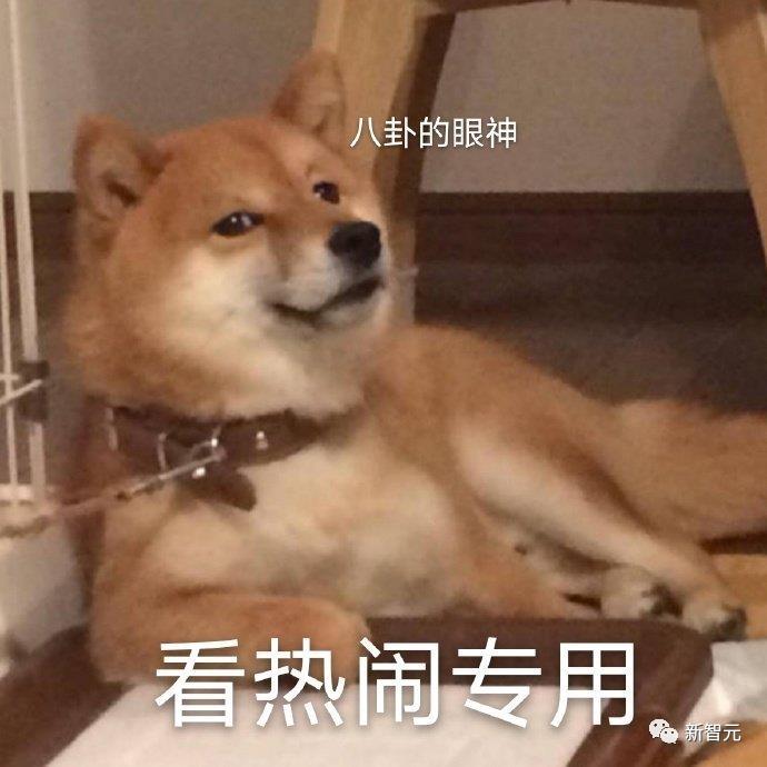 OpenAI正式开放ChatGPT API,100万个单词才18元,全民AIGC时代真的要来了第4张-币伙计 OpenAI正式开放ChatGPT API,100万个单词才18元,全民AIGC时代真的要来了