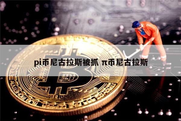 pi币尼古拉斯被抓 π币尼古拉斯 第1张 pi币尼古拉斯被抓 π币尼古拉斯 第1张