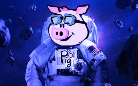 pig币交易所官方app安卓版 pig币交易所app官网下载-第1张图片-芝麻交易所下载