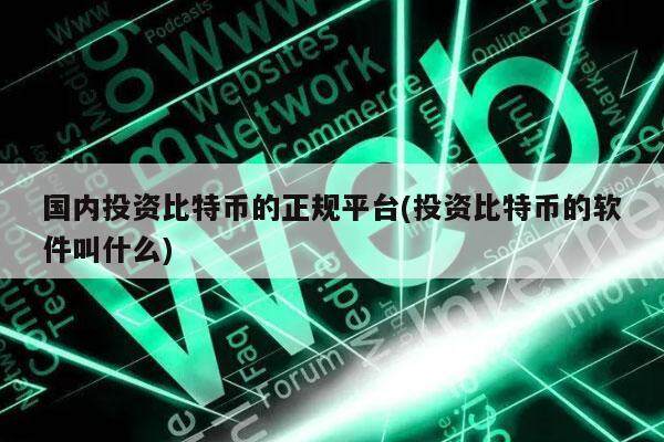 国内投资比特币的正规平台(投资比特币的软件叫什么)-第1张图片-芝麻交易所下载