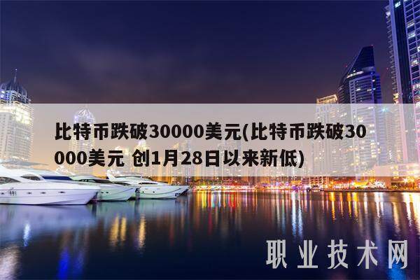 比特币跌破30000美元(比特币跌破30000美元 创1月28日以来新低)-第1张图片-芝麻交易所下载
