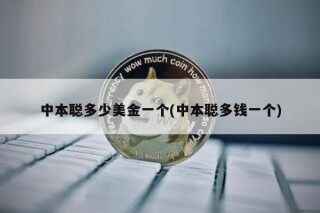 中本聪多少美金一个(中本聪多钱一个)