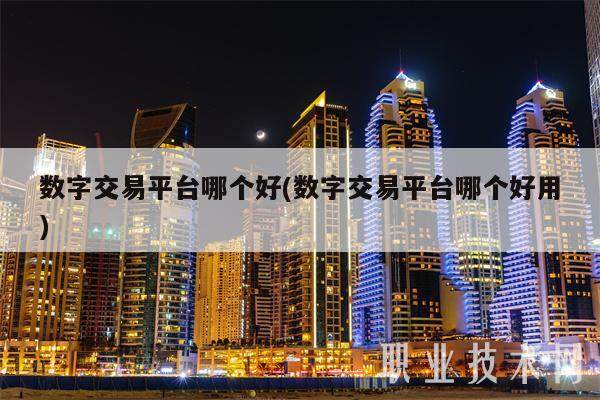 数字交易平台哪个好(数字交易平台哪个好用)-第1张图片-芝麻交易所下载