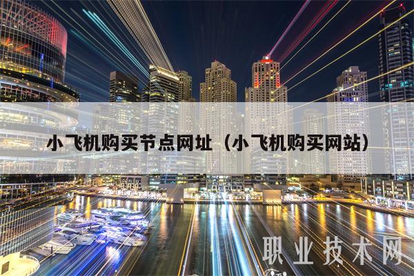 小飞机购买节点网址(小飞机购买网站)