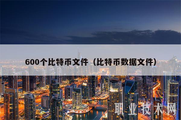 600个比特币文件(比特币数据文件)