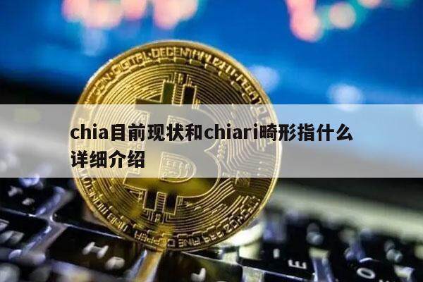 chia目前现状和chiari畸形指什么详细介绍-第1张图片-芝麻交易所下载