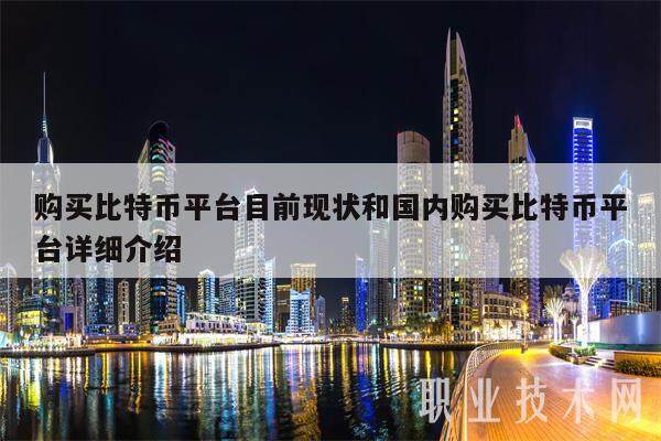 购买比特币平台目前现状和国内购买比特币平台详细介绍-第1张图片-芝麻交易所下载